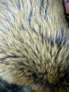 Дубленка Mabrun (44)