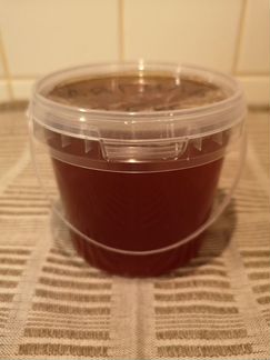 Мед алтайский дягиль 0,5 кг