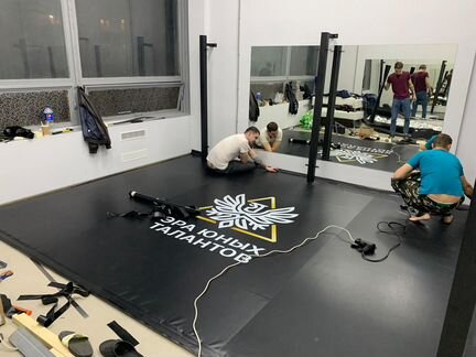 Имитация клетки мма