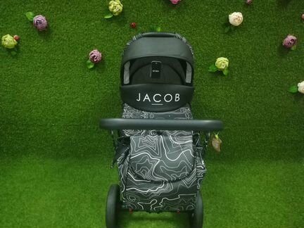 Детская коляска 2 в 1 Anex Sport Jacob