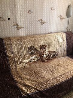 Комната 10 м² в 3-к, 5/5 эт.