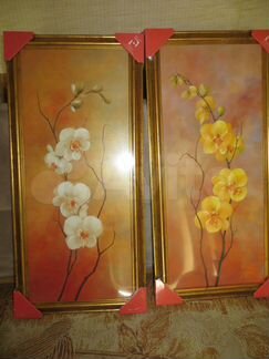 Постер, Картины орхидеи