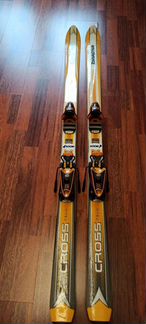 Горные лыжи